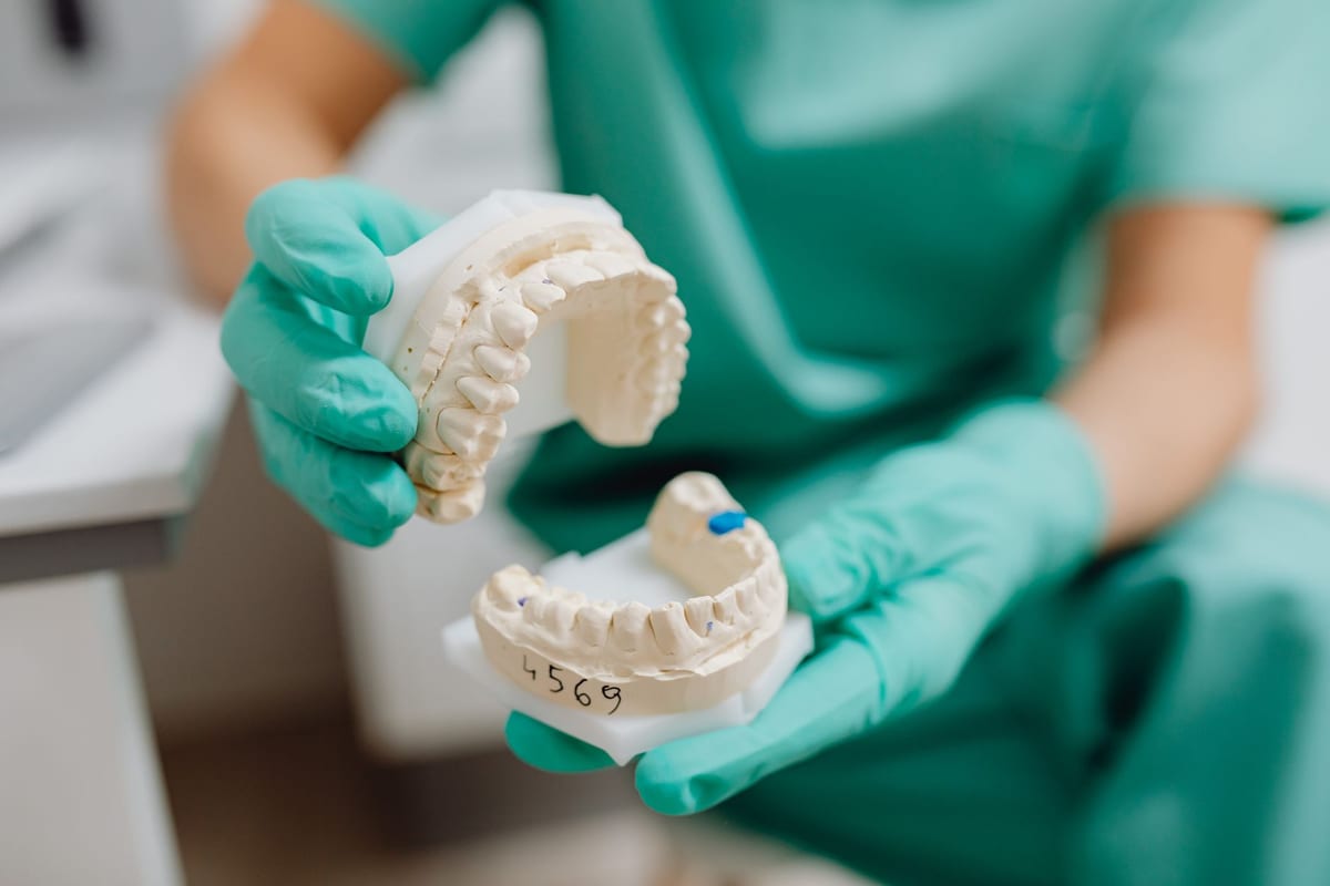 A clinician in gloves holding the matched upper and lower plaster casts of a patient's teeth
